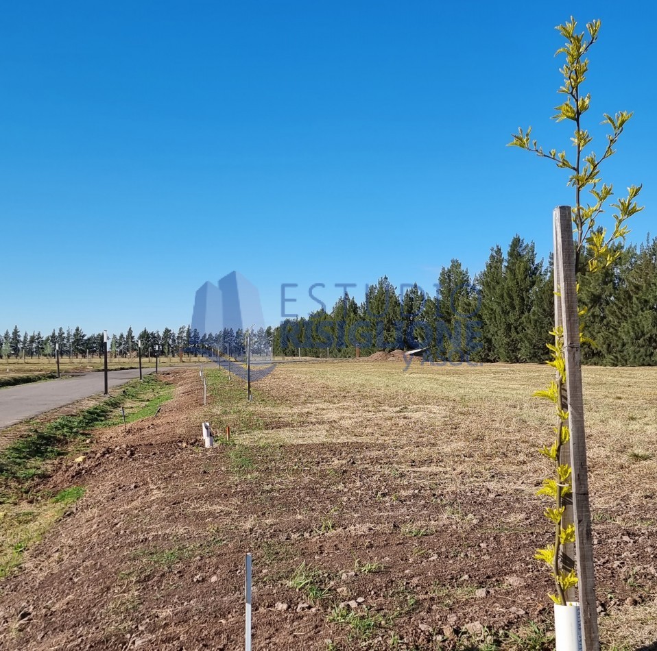 RETASADO, LOS PASOS GOLF o LOS PASOS 2 terreno 830m2 FRENTE SUR, central, NO ES PERIMETRAL, CUOTA DE OBRA PAGADA