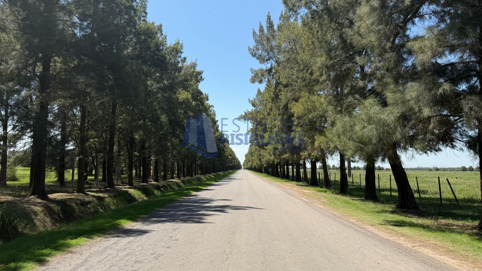 VENTA LOTES  HARAS DE FUNES 